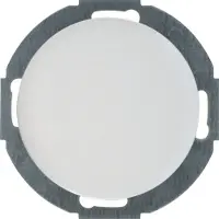 Berker 10092079 Tappo cieco con elemento centrale bianco polare, lucido Serie R.classic