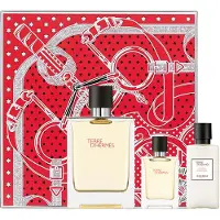 Hermès Paris Terre D'100 ml Eau de Toilette Uomo