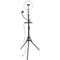 StudioKing LED Vlog Set SK-K190 con Lampada ad Anello e Supporto per Microfono