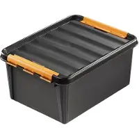 Orthex 3193090 box PRO 31, 32 litri, nero