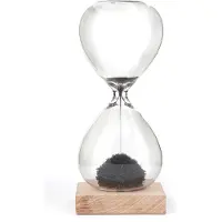 Kikkerland Timer St05