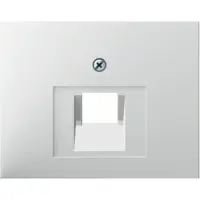 Berker Piastra centrale pws 14077009