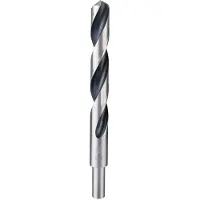 Bosch Accesorios Punta Da Trapano Per Metallo Hss-rpointteq Din338 17.0x125x184 Mm