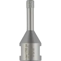 Bosch Accesorios Punta Diamantata Dryspeed 8 Mm