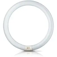 Philips Anello a fluorescenza Master Circular TL-E