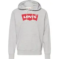 Levi's Standard Graphic Hoodie Co Hm Two Color Taglia: M | Felpe con cappuccio Outlet | Uomo