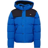 Dickies Piumino Uomo Glacier View Coat True Blue