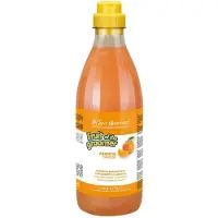 Iv San Bernard Shampoo Fruits Arancia 1l