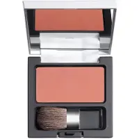 Diego Dalla Palma Milano Blush Compatto In Polvere 10 5 g — Blush