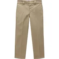 Dickies Pantaolini dritti WP873 WORK PANT REC uomini - Beige - US 34 / 34