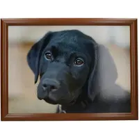 Creative Tops Vassoio Labrador Nero
