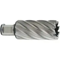 Metabo HSS carotatrice 19x55 mm, 626528000