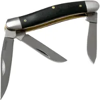 Kershaw Coltello pieghevole Brandywine