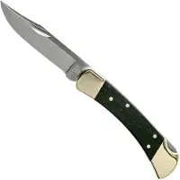 Buck Knives 110 Folding Hunter
