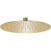 vidaXL Regenduschkopf rund 25 cm Edelstahl Gold gefärbt