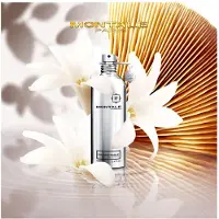 Montale Fantastic Basilic Unisex 100 ml — Eau de Parfum