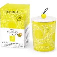 Esteban Terre D'Agrumes Candela decorativa profumata 180 g