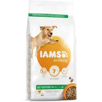 IAMS Dog Adult Large Pollo 3kg