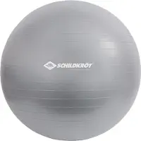 Schildkröt Fitness Gymnastikball Functional Training (55 cm, grigio)