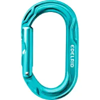 Edelrid Kiwi Moschettoni a leva turchese