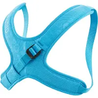 Edelrid Pettorina Kermit Ii