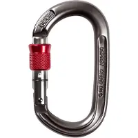 Ocun Osprey Screw Moschettoni a ghiera grigio
