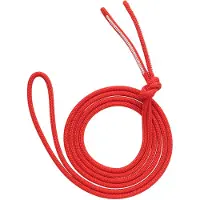 Austrialpin Dyna.MIT Dyneema Sling 6mm Cordini (290 cm, rosso)