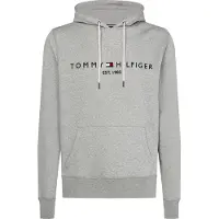 Tommy Hilfiger Felpa Con Cappuccio Core Logo