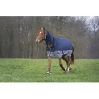 Equithème Combo Tyrex 600 D Polyfil 350g Weidedecke Blau 168-120 cm Blau 168-120 cm