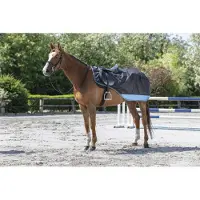 Equithème E-Th.600D Rene D.mbl/Grigio 155