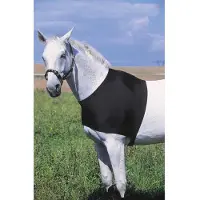 Ekkia EQUITHÈME Protezione per la spalla contro gli sfregamenti Chiusura a clip nera, Colore: nero, Taglia: XL/Sangue freddo