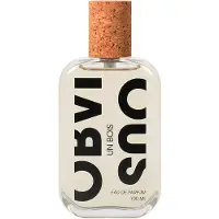 OBVIOUS Un Bois 100 ml — Eau de Parfum