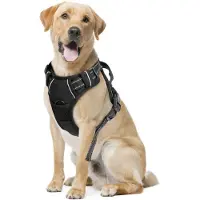 Nobleza Pettorina Per Cani