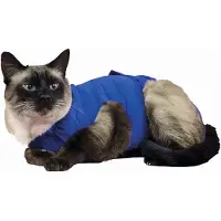 Kvp Giacca Per Gatti Recova