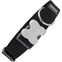 Red Dingo Collare Per Cani S6100029