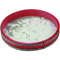 Reig Musicales Tamburo Ocean Diameter 28 Cm