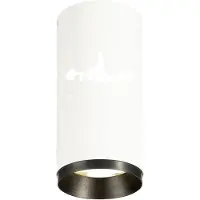 SLV NUMINOS Plafoniera LED a taglio di fase per interni Dimensioni: 8,5 x 18,5 cm, Colore: bianco/nero, Temperatura colore: 3000 Kelvin, Angolo di emissione: 36 gradi