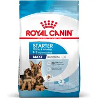 Royal Canin Cibo Per Cuccioli Maxi Starter Con Riso 15kg