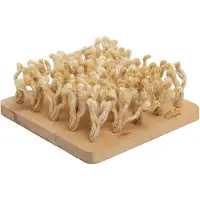 Bunny Gioco Del Shuffleboard Per Roditori 24.2x9x24.2 Cm