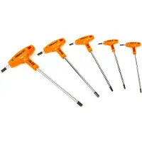 Beta 5 Pezzi Set Chiave a T per Viti Esagonali - 96 T/S5P