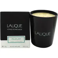 Lalique Candela Poplar Aspen 190g