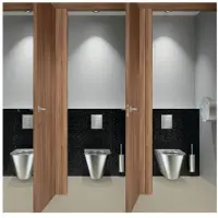Delabie Filato a spazzola WC. W.-Mont. w. Acciaio inox lucidato.