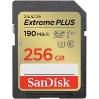 SanDisk Scheda Di Memoria Extreme Plus Sdhc 256gb