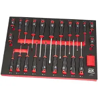 AOK Set di Cacciaviti Professionale da 55 Pezzi con Inlay in Foam