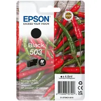 Epson Cartuccia stampante 503 (C13T09Q14010) - Nero