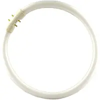 Philips 2GX13 60W 840 Anello fluorescente Master TL5