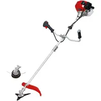 Einhell GC-BC 52 I AS falce a benzina
