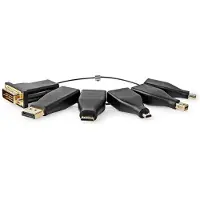 Nedis Multiadattatore A Hdmi Femmina Dp/dvi/microhdmi/minihdmi/minidp/usb-c Placcato In Pvc Oro