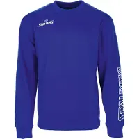 Spalding Felpa Team Ii Crew