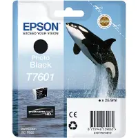 Epson Cartuccia T7601 (C13T76014010) - Nero Photo
